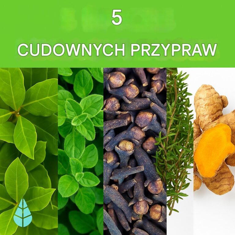 5_cudownych_przypraw__kt_re_powiniene__uwzgl_dni__w_swojej_diecie_____korzy_ci_zdrowotne_