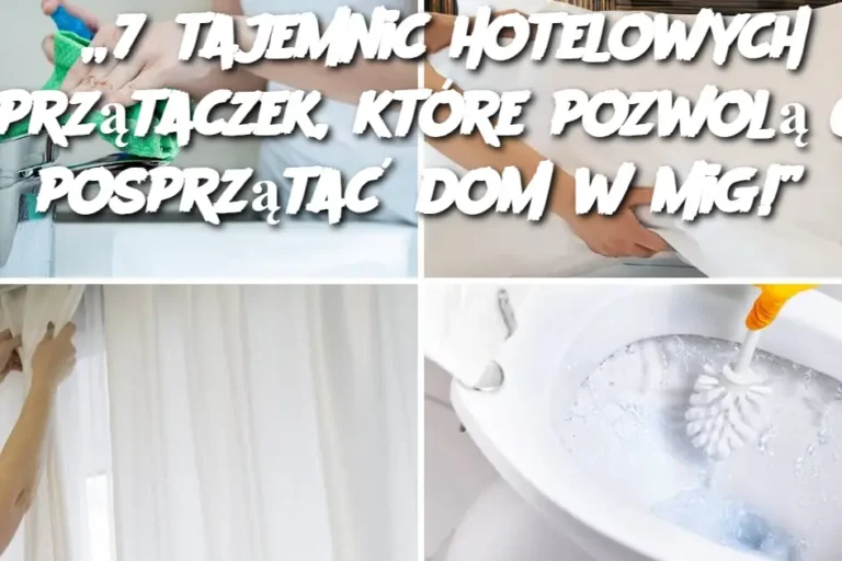 7_tajemnic_hotelowych_sprz_taczek__kt_re_pozwol__Ci_posprz_ta__dom_w_mig__