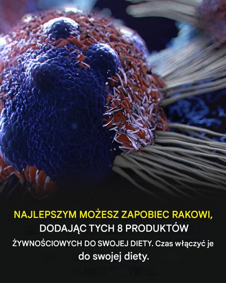 8_rodzaj_w__ywno_ci__kt_re_mog__pom_c_zmniejszy__ryzyko_zachorowania_na_raka-1