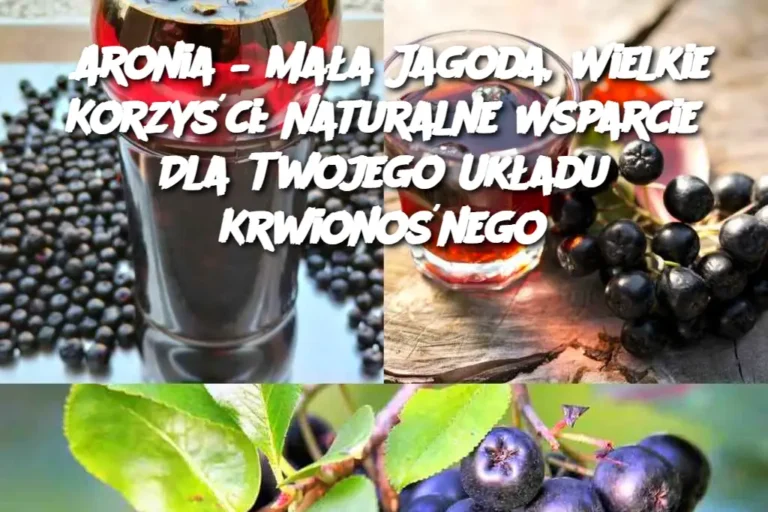 Aronia___Ma_a_Jagoda__Wielkie_Korzy_ci__Naturalne_Wsparcie_Dla_Twojego_Uk_adu_Krwiono_nego