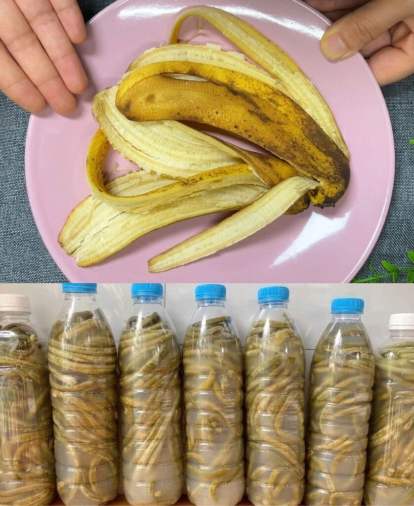 Cum_s__Folose_ti_Cojile_de_Banan___Re_ete__i_Sfaturi_Utile-1 Cum_s__Folose_ti_Cojile_de_Banan___Re_ete__i_Sfaturi_Utile-1