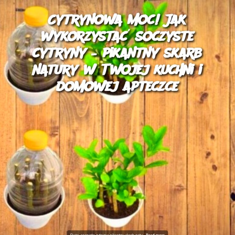 Cytrynowa_moc__Jak_wykorzysta__soczyste_cytryny___pikantny_skarb_natury_w_Twojej_kuchni_i_domowej_apteczce