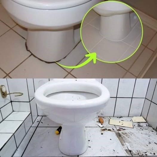 Czarne_k__ko_u_podstawy_toalety__mo_esz_si__go_pozby__tylko_wtedy__gdy_to_zrobisz__stanie_si__nowe-1 Czarne_k__ko_u_podstawy_toalety__mo_esz_si__go_pozby__tylko_wtedy__gdy_to_zrobisz__stanie_si__nowe-1