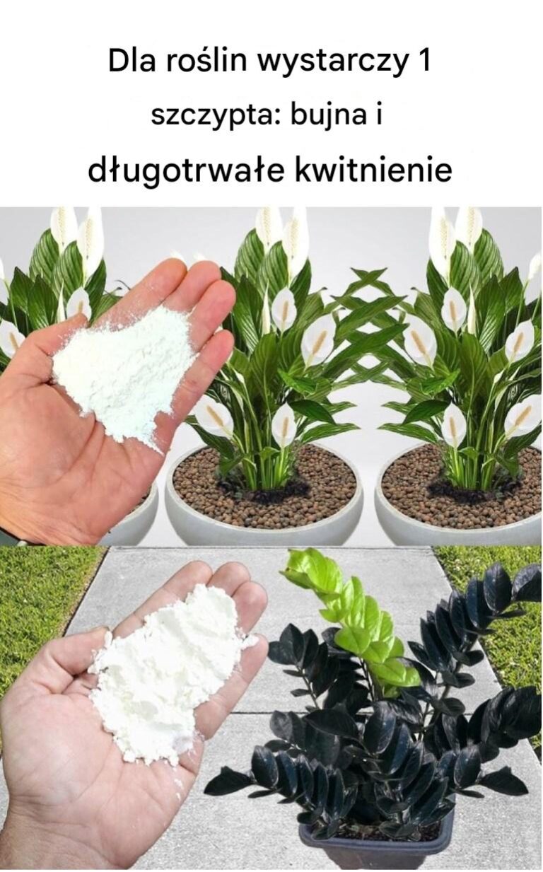 Dla_ro_lin_wystarczy_1_szczypta__obfite_i_d_ugotrwa_e_kwitnienie
