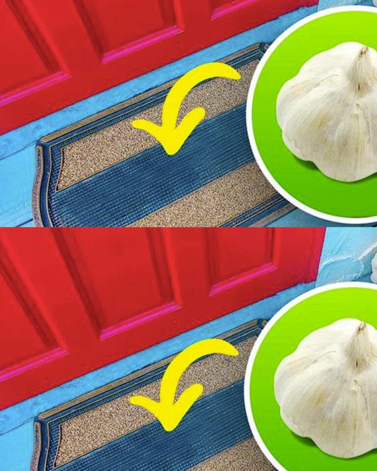 Dlaczego_warto_umie_ci__z_bek_czosnku_przy_wej_ciu_do_domu_
