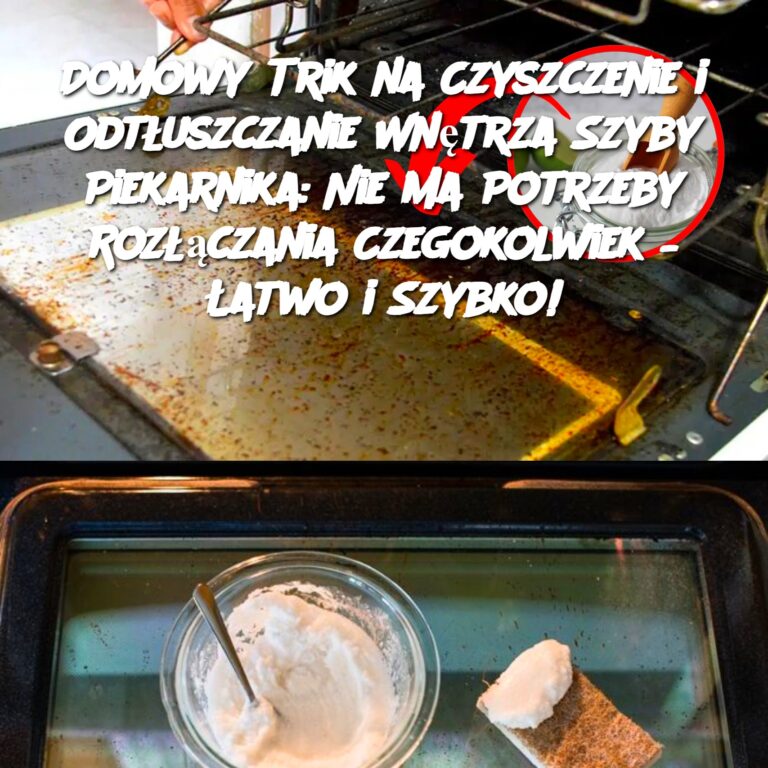 Domowy_Trik_na_Czyszczenie_i_Odt_uszczanie_Wn_trza_Szyby_Piekarnika__Nie_Ma_Potrzeby_Roz__czania_Czegokolwiek____atwo_i_Szybko_