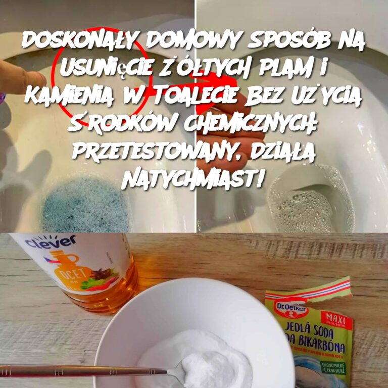 Doskona_y_Domowy_Spos_b_na_Usuni_cie____tych_Plam_i_Kamienia_w_Toalecie_Bez_U_ycia__rodk_w_Chemicznych__Przetestowany__Dzia_a_Natychmiast_