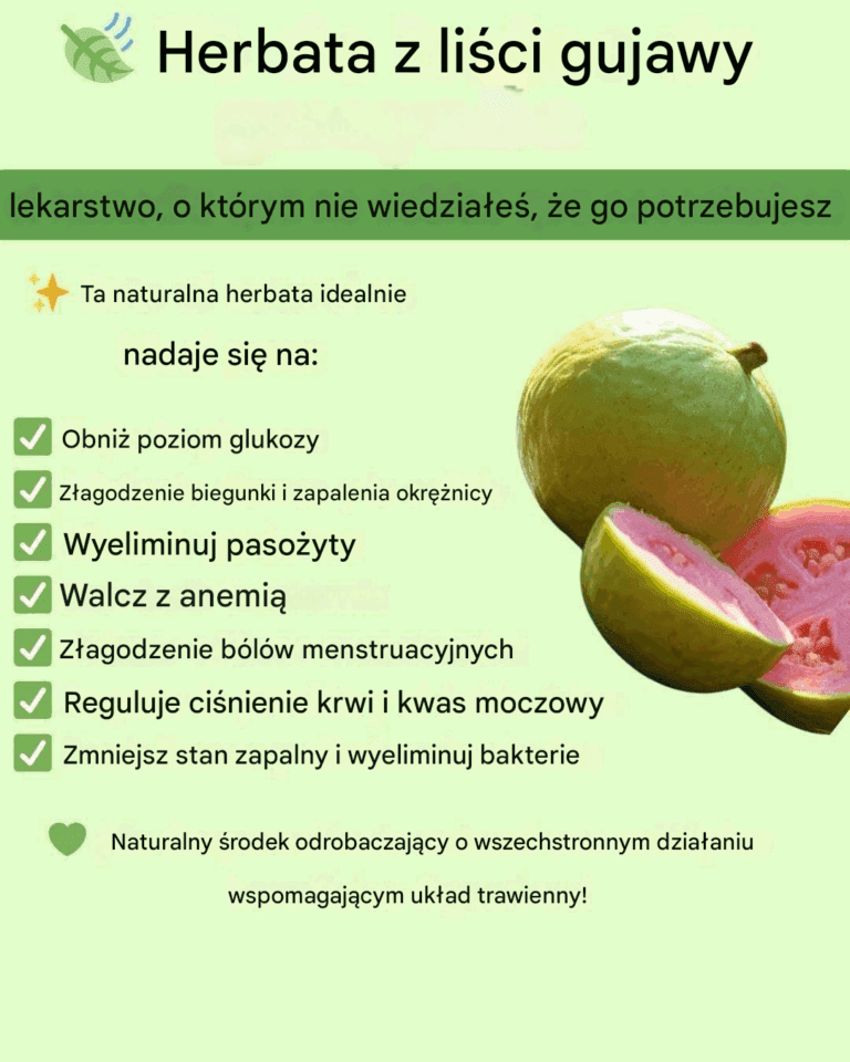 Herbata_z_li_ci_guawy-1