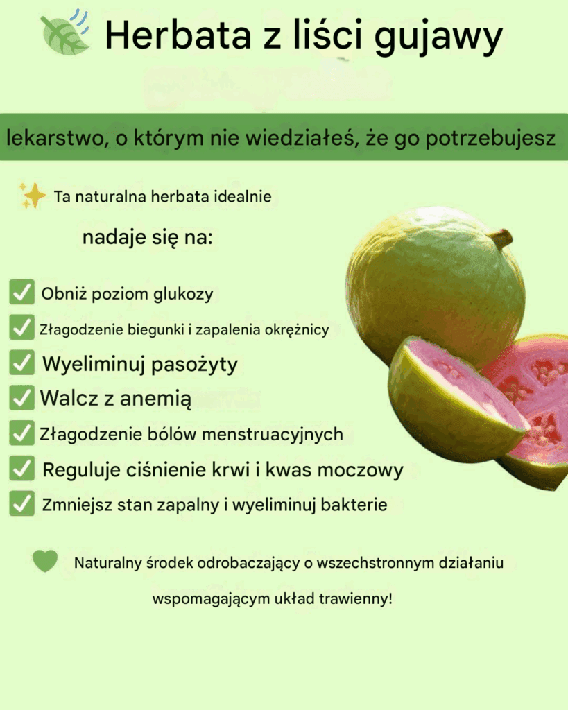 Herbata_z_li_ci_guawy-1 Herbata_z_li_ci_guawy-1