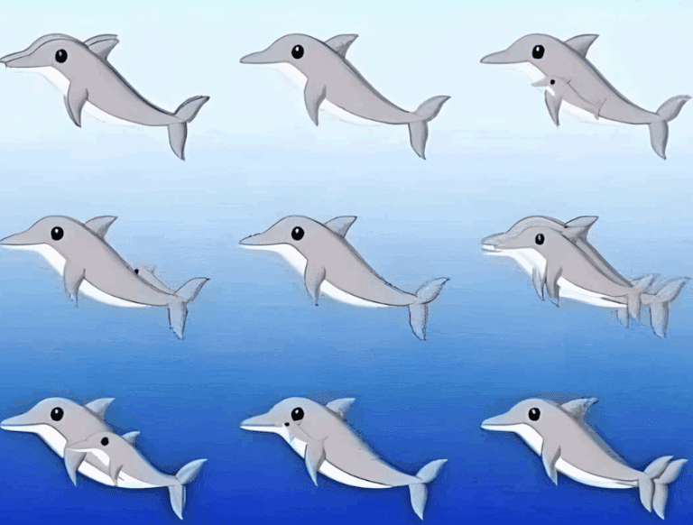 Ile_delfin_w_widzisz_na_obrazku_