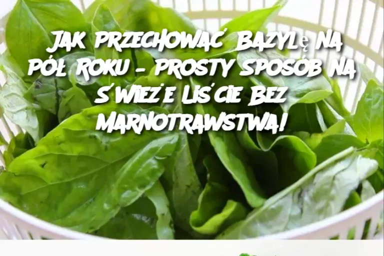 Jak_Przechowa__Bazyl__na_P___Roku___Prosty_Spos_b_na__wie_e_Li_cie_Bez_Marnotrawstwa_
