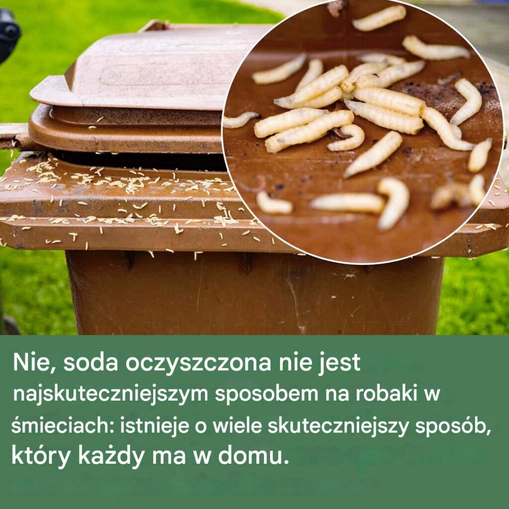 Jak_Skutecznie_Pozby__si__Robak_w_w__mieciach_ Jak_Skutecznie_Pozby__si__Robak_w_w__mieciach_