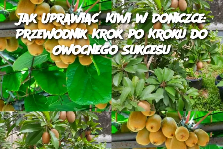 Jak_Uprawia__Kiwi_w_Doniczce__Przewodnik_Krok_po_Kroku_do_Owocnego_Sukcesu