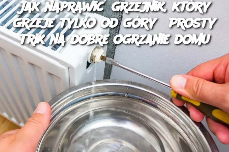 Jak_naprawi__grzejnik__kt_ry_grzeje_tylko_od_g_ry__Prosty_trik_na_dobre_ogrzanie_domu