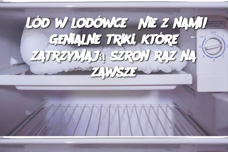 L_d_w_lod_wce__Nie_z_nami__Genialne_triki__kt_re_zatrzymaj__szron_raz_na_zawsze