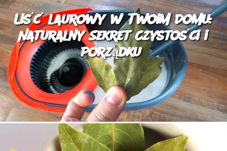Li___laurowy_w_Twoim_Domu__Naturalny_Sekret_Czysto_ci_i_Porz_dku