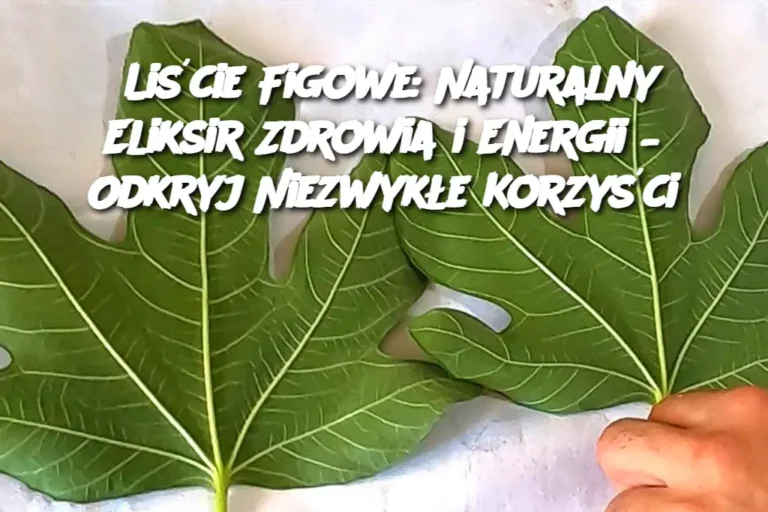 Li_cie_Figowe__Naturalny_Eliksir_Zdrowia_i_Energii___Odkryj_Niezwyk_e_Korzy_ci