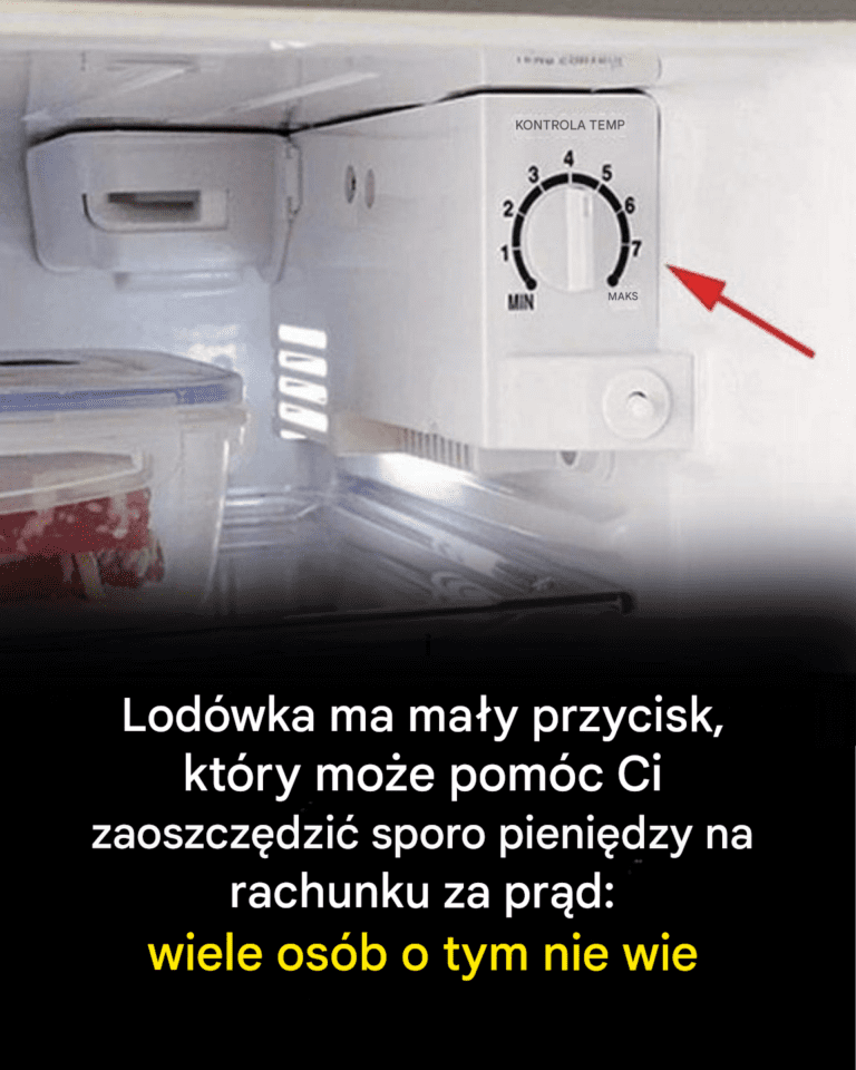 Lod_wka_ma_ma_y_przycisk__kt_ry_mo_e_pom_c_Ci_zaoszcz_dzi__sporo_pieni_dzy_na_rachunku_za_pr_d_