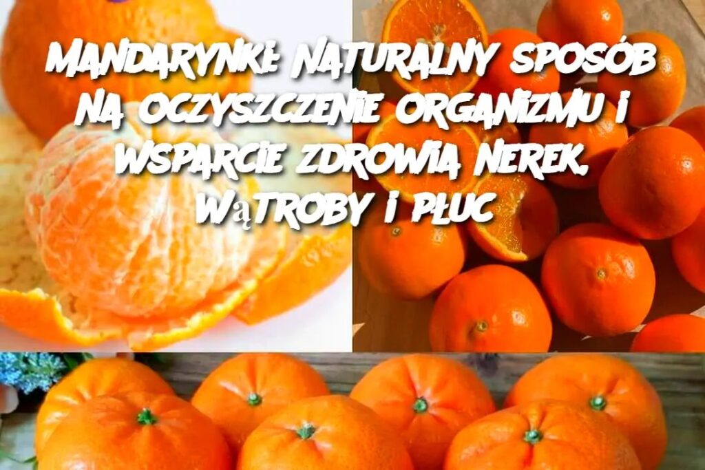 Mandarynki__Naturalny_spos_b_na_oczyszczenie_organizmu_i_wsparcie_zdrowia_nerek__w_troby_i_p_uc Mandarynki__Naturalny_spos_b_na_oczyszczenie_organizmu_i_wsparcie_zdrowia_nerek__w_troby_i_p_uc