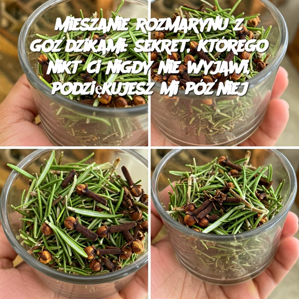 Mieszanie_rozmarynu_z_go_dzikami__sekret__kt_rego_nikt_ci_nigdy_nie_wyjawi__podzi_kujesz_mi_p__niej Mieszanie_rozmarynu_z_go_dzikami__sekret__kt_rego_nikt_ci_nigdy_nie_wyjawi__podzi_kujesz_mi_p__niej
