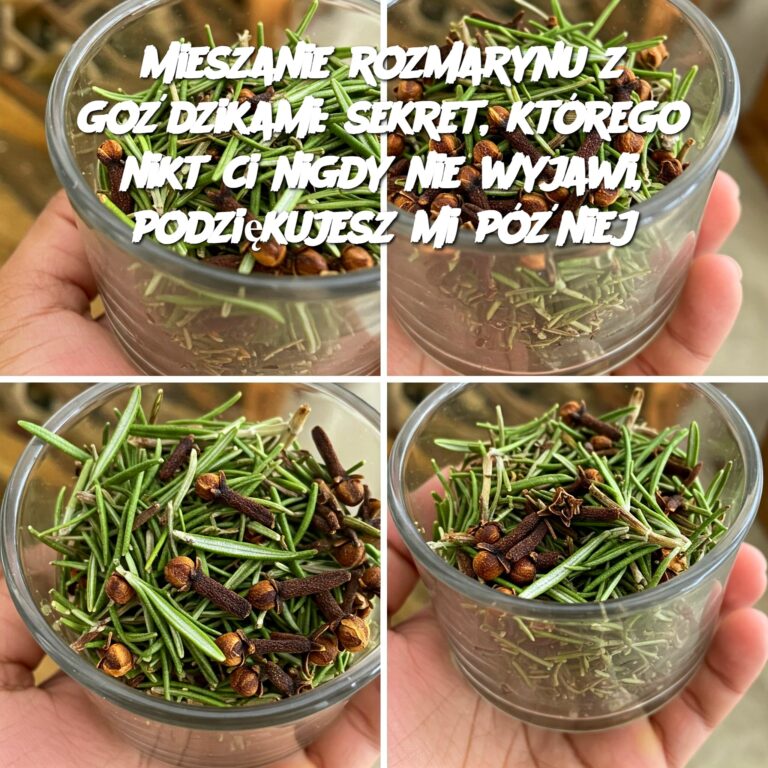 Mieszanie_rozmarynu_z_go_dzikami__sekret__kt_rego_nikt_ci_nigdy_nie_wyjawi__podzi_kujesz_mi_p__niej