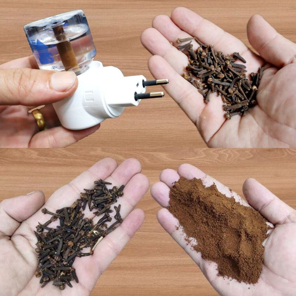 Naturalna_Tarcza_na_Komary__Aromatyczna_Moc_Go_dzik_w_w_Domowym_Odstraszaczu Naturalna_Tarcza_na_Komary__Aromatyczna_Moc_Go_dzik_w_w_Domowym_Odstraszaczu