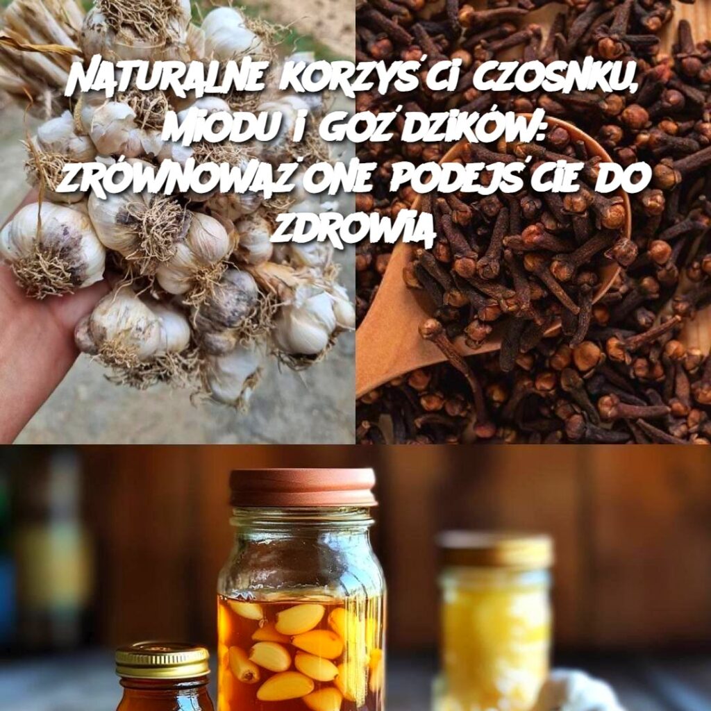 Naturalne_korzy_ci_czosnku__miodu_i_go_dzik_w__zr_wnowa_one_podej_cie_do_zdrowia Naturalne_korzy_ci_czosnku__miodu_i_go_dzik_w__zr_wnowa_one_podej_cie_do_zdrowia