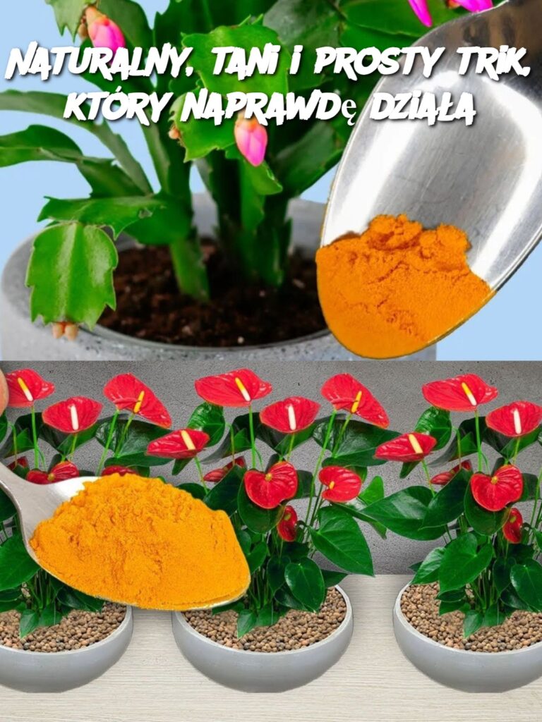 Naturalny__tani_i_prosty_trik__kt_ry_naprawd__dzia_a Naturalny__tani_i_prosty_trik__kt_ry_naprawd__dzia_a