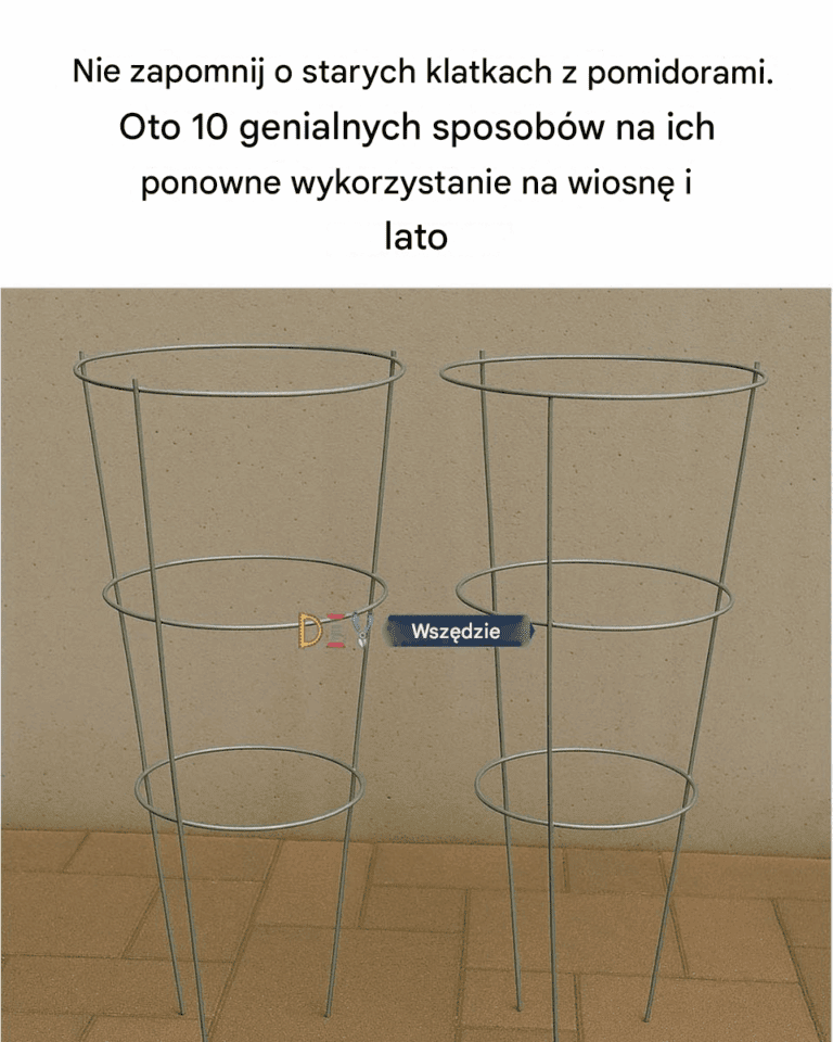 Nie_przegap_starych_klatek_na_pomidory__Oto_10_genialnych_sposob_w_na_ich_ponowne_wykorzystanie_wiosn__i_latem