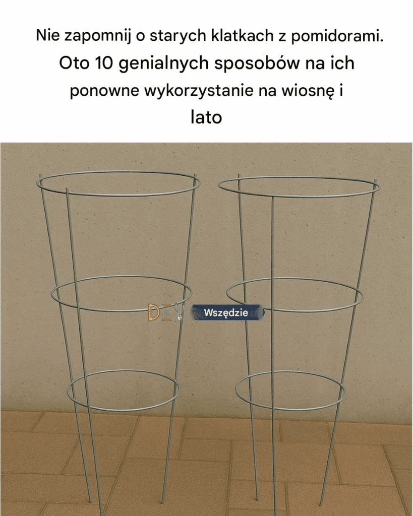 Nie_przegap_starych_klatek_na_pomidory__Oto_10_genialnych_sposob_w_na_ich_ponowne_wykorzystanie_wiosn__i_latem Nie_przegap_starych_klatek_na_pomidory__Oto_10_genialnych_sposob_w_na_ich_ponowne_wykorzystanie_wiosn__i_latem