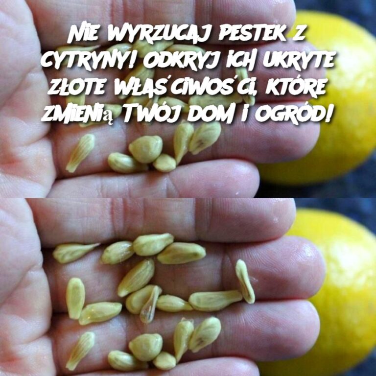 Nie_wyrzucaj_pestek_z_cytryny__Odkryj_ich_ukryte_z_ote_w_a_ciwo_ci__kt_re_zmieni__Tw_j_dom_i_ogr_d_-2