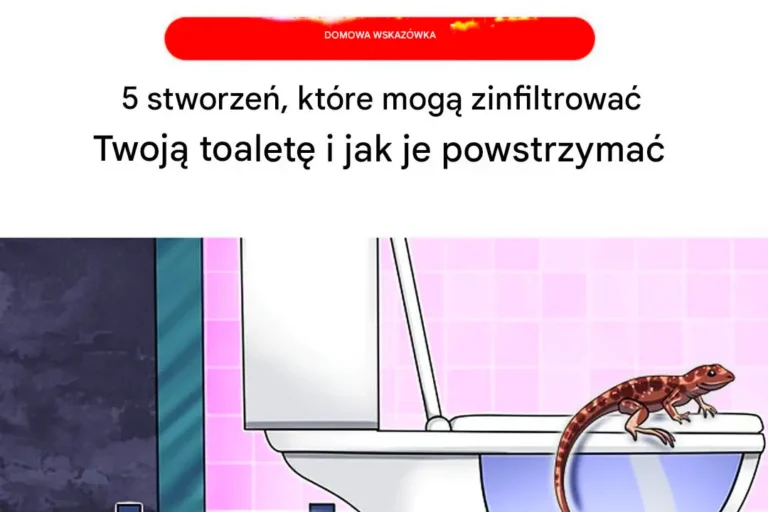 Nieproszeni_Go_cie_w__azience__Jak_Zabezpieczy__Toalet__przed_Inwazj__Stworze_