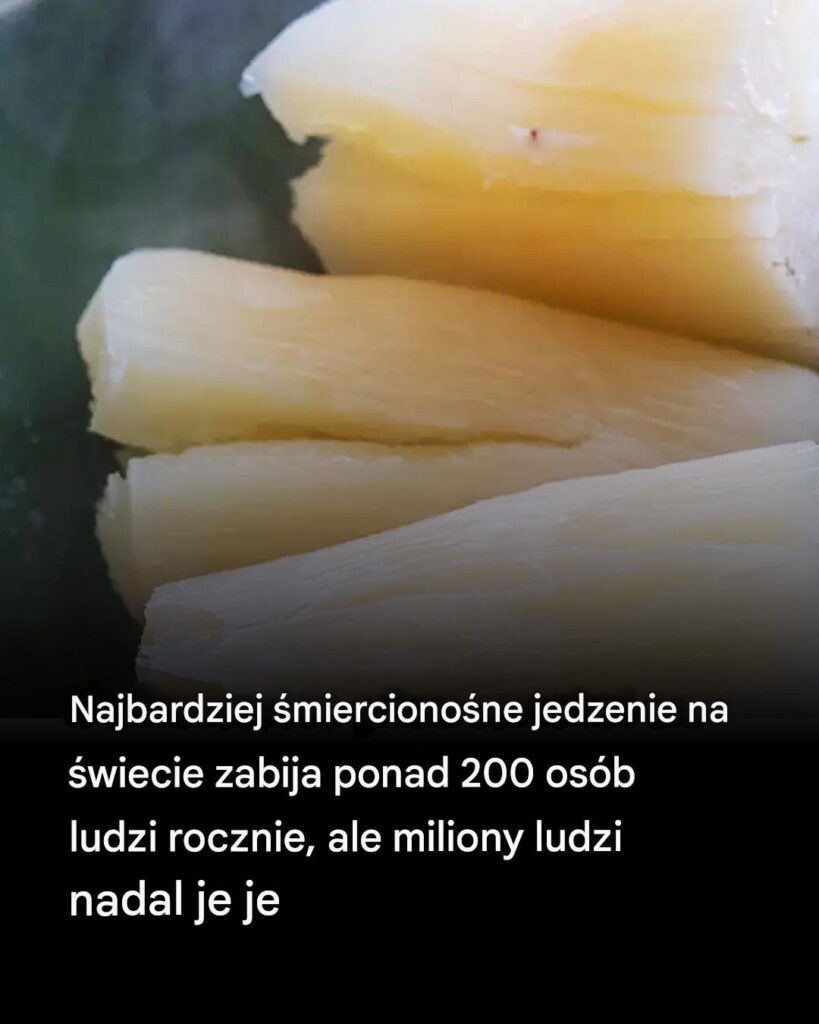 O_m_j_Bo_e__Ja_te__to_jem O_m_j_Bo_e__Ja_te__to_jem