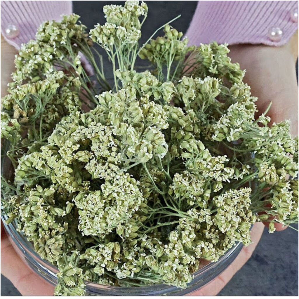 Odkryj_naturalne_cuda_trawy_Hajdu_ka-1 Odkryj_naturalne_cuda_trawy_Hajdu_ka-1