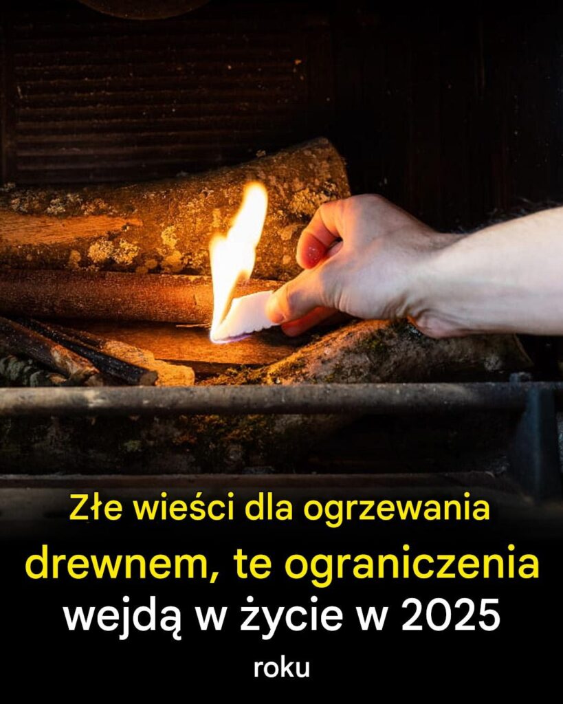Ogrzewanie_drewnem__zmiany_w_2025_roku Ogrzewanie_drewnem__zmiany_w_2025_roku