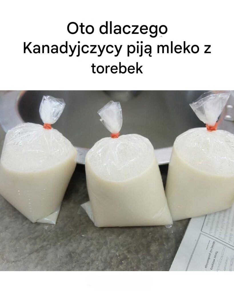 Oto_dlaczego_Kanadyjczycy_pij__mleko_z_torebek Oto_dlaczego_Kanadyjczycy_pij__mleko_z_torebek