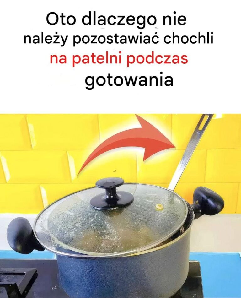 Oto_dlaczego_nie_nale_y_pozostawia__chochli_na_patelni_podczas_gotowania