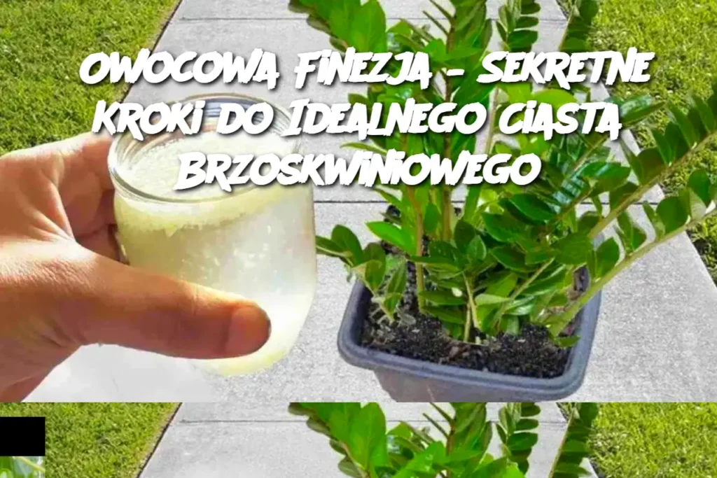 Owocowa_Finezja___Sekretne_Kroki_do_Idealnego_Ciasta_Brzoskwiniowego-1 Owocowa_Finezja___Sekretne_Kroki_do_Idealnego_Ciasta_Brzoskwiniowego-1