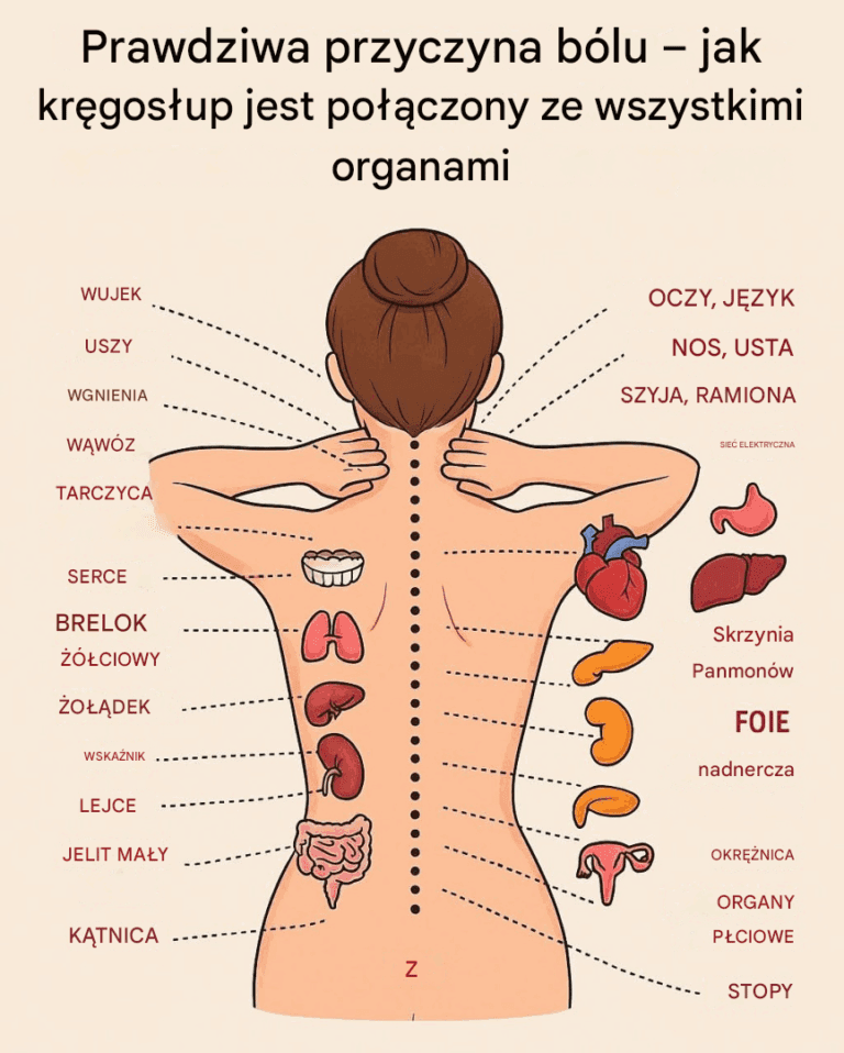 Prawdziwa_przyczyna_b_lu___jak_kr_gos_up_jest_po__czony_ze_wszystkimi_organami_