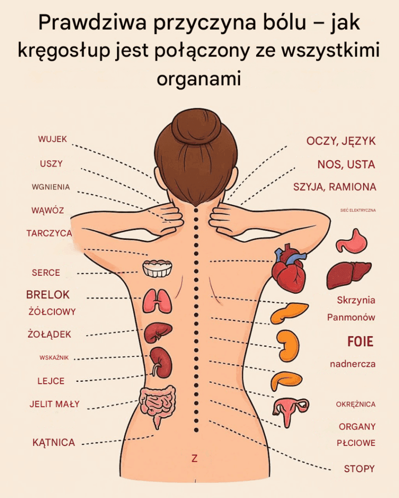 Prawdziwa_przyczyna_b_lu___jak_kr_gos_up_jest_po__czony_ze_wszystkimi_organami_ Prawdziwa_przyczyna_b_lu___jak_kr_gos_up_jest_po__czony_ze_wszystkimi_organami_