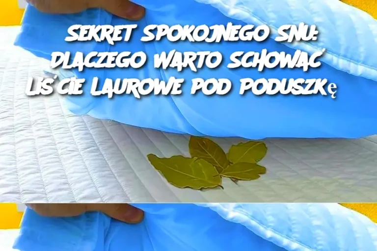 Sekret_Spokojnego_Snu__Dlaczego_Warto_Schowa__Li_cie_Laurowe_pod_Poduszk__