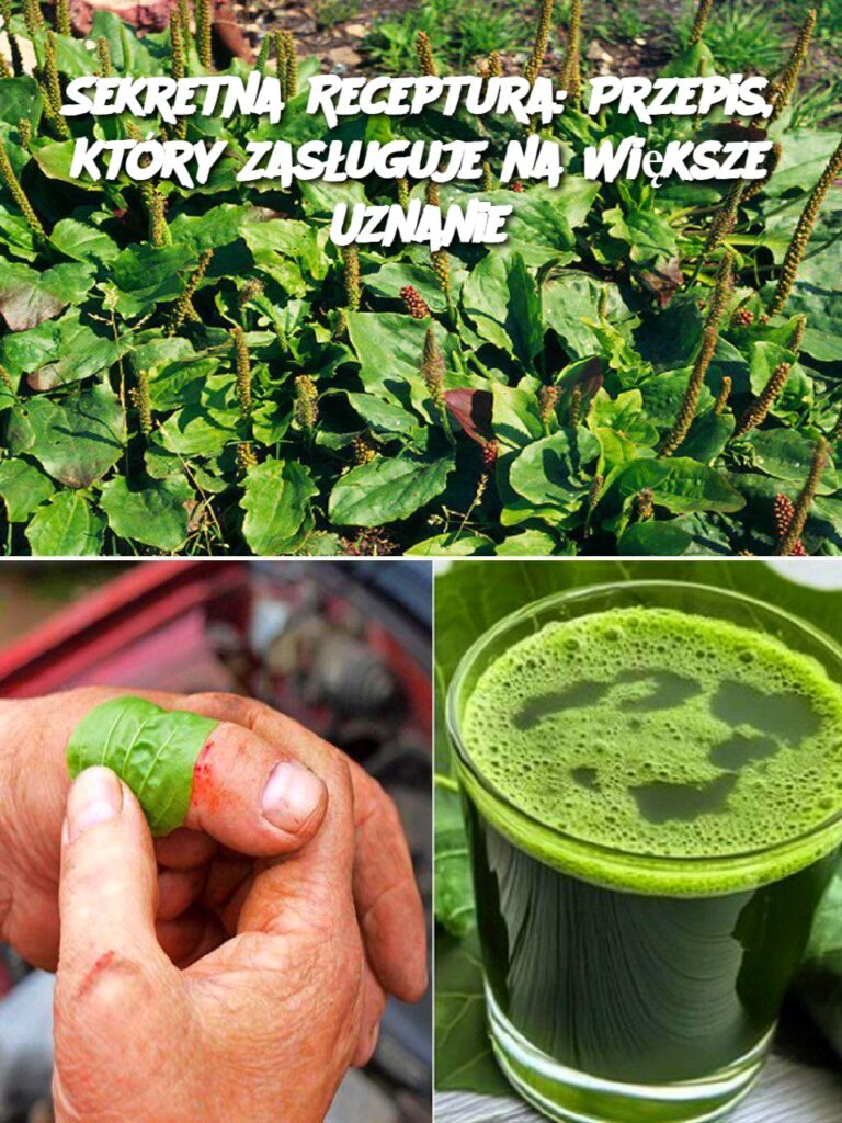 Sekretna_Receptura__Przepis__Kt_ry_Zas_uguje_na_Wi_ksze_Uznanie