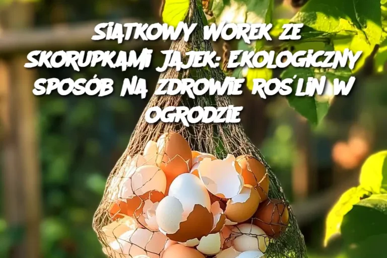 Siatkowy_Worek_ze_Skorupkami_Jajek__Ekologiczny_spos_b_na_zdrowie_ro_lin_w_ogrodzie