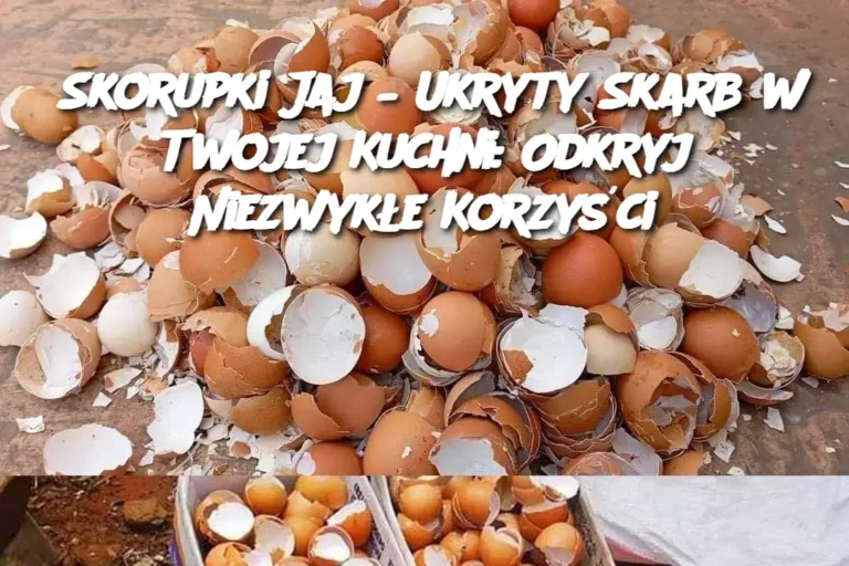 Skorupki_Jaj___Ukryty_Skarb_w_Twojej_Kuchni__Odkryj_Niezwyk_e_Korzy_ci