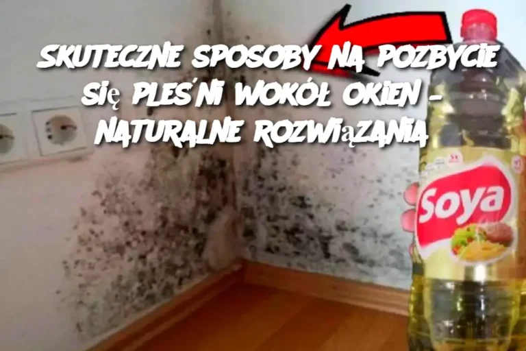 Skuteczne_sposoby_na_pozbycie_si__ple_ni_wok___okien___naturalne_rozwi_zania