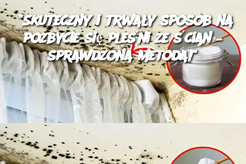 Skuteczny_i_trwa_y_spos_b_na_pozbycie_si__ple_ni_ze__cian___sprawdzona_metoda__ Skuteczny_i_trwa_y_spos_b_na_pozbycie_si__ple_ni_ze__cian___sprawdzona_metoda__