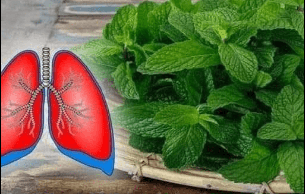 Sze___ro_lin__kt_re_pomog__Ci_walczy__z_astm__i_oczy_ci__p_uca-1 Sze___ro_lin__kt_re_pomog__Ci_walczy__z_astm__i_oczy_ci__p_uca-1