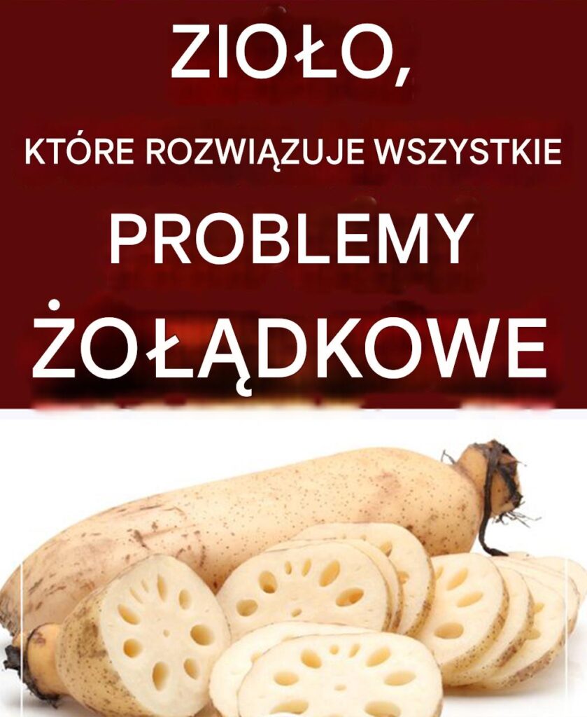 Ta_ro_lina_rozwi_zuje_wszystkie_problemy__o__dkowe Ta_ro_lina_rozwi_zuje_wszystkie_problemy__o__dkowe