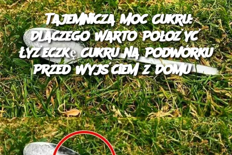 Tajemnicza_Moc_Cukru__Dlaczego_Warto_Po_o_y___y_eczk__Cukru_na_Podw_rku_Przed_Wyj_ciem_z_Domu_