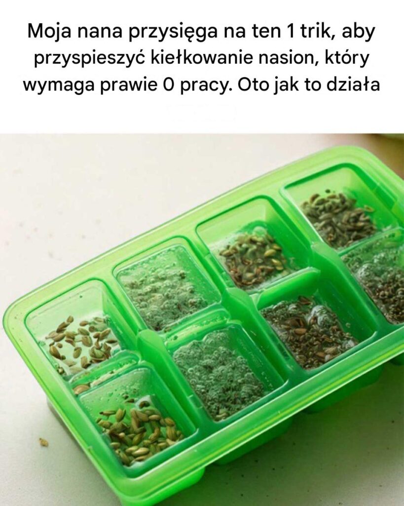 To_ca_kowicie_umkn__o_mojej_uwadze To_ca_kowicie_umkn__o_mojej_uwadze